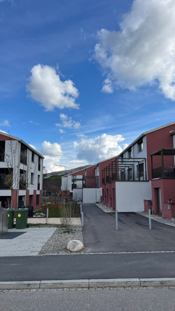 20250324_135320998_iOS