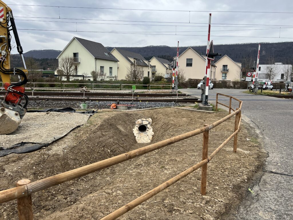 20230323_132030065_iOS